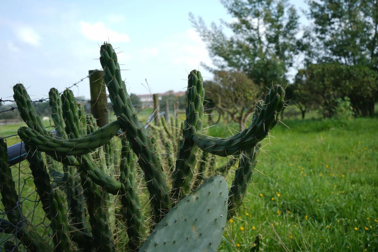 Herdade Palma T1 Moita (Setubal)